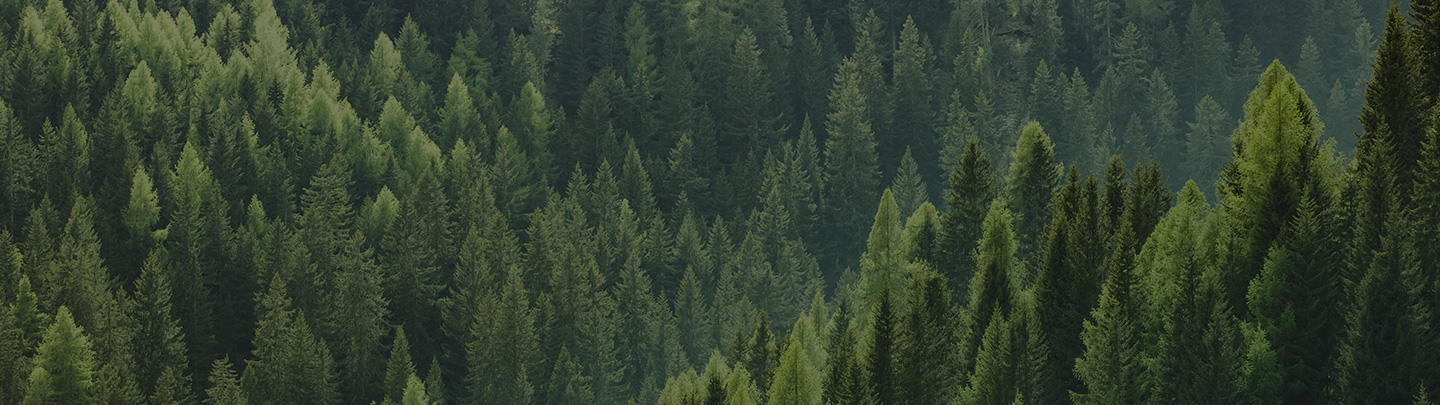 Our environmental policy