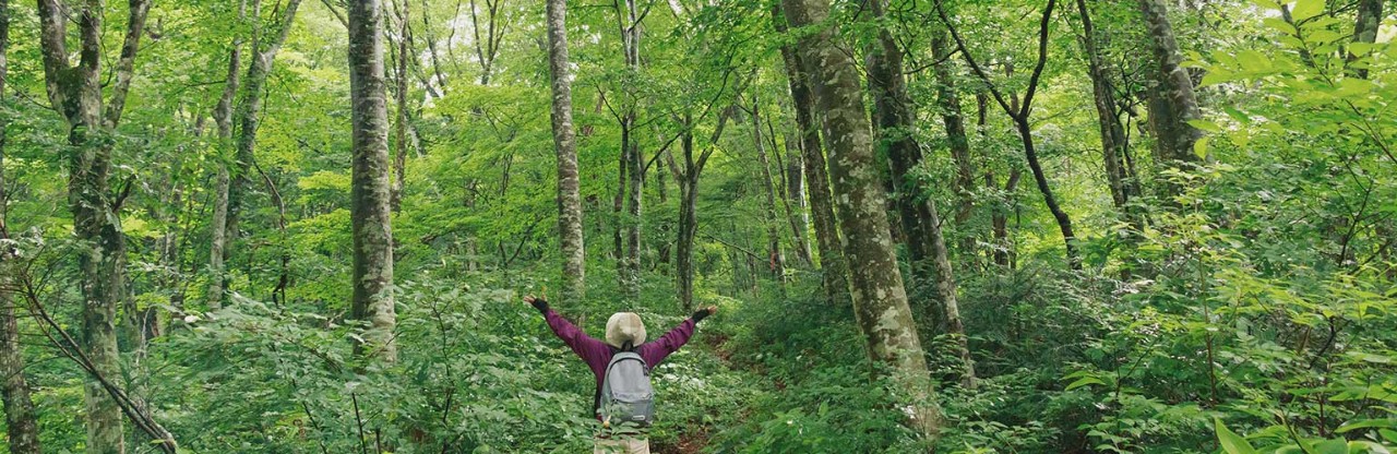 Corporate, Social Responsibility (CSR) 