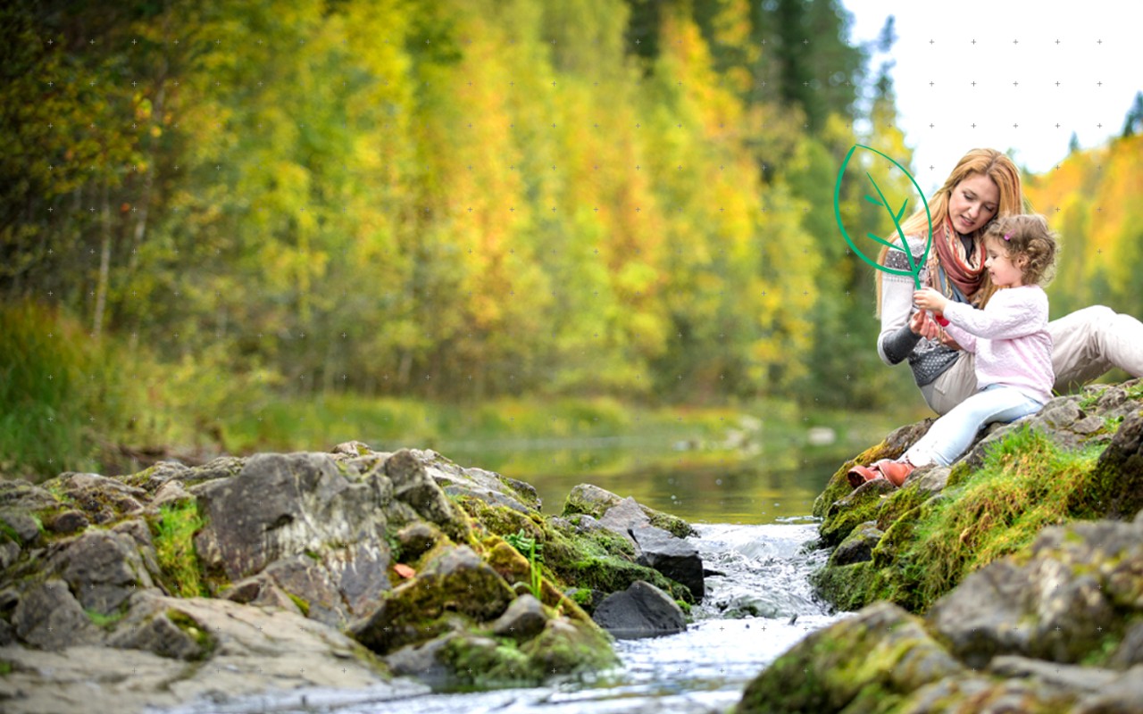 We are a carbon neutral company.